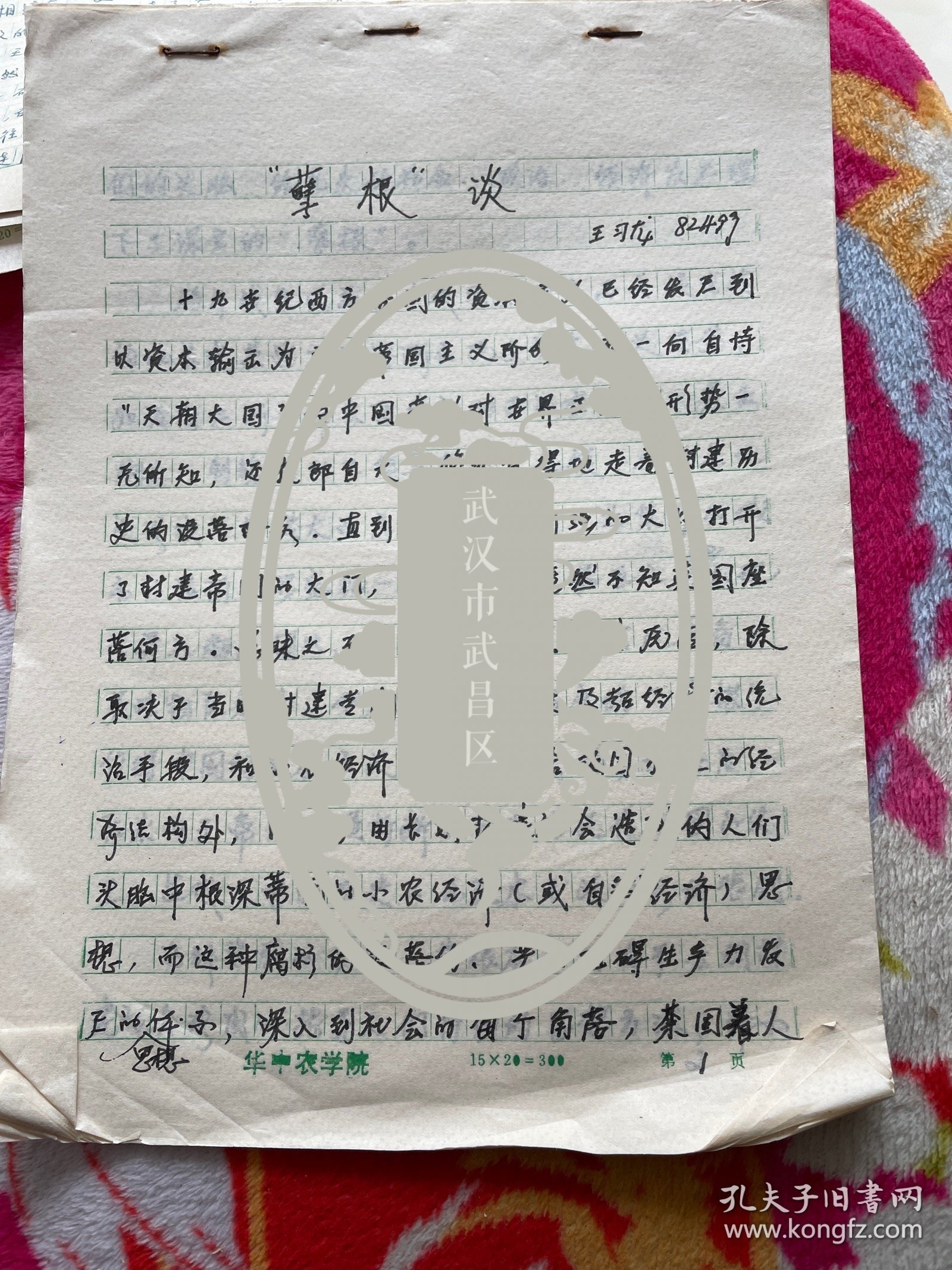 80年代华中农业大学农经系  “孽根”谈 王习龙 论文