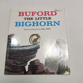 Buford the Little Bighorn