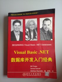 Visual Basic . NET数据库开发入门经典