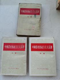 中国农村的社会主义高潮。上中下三册。