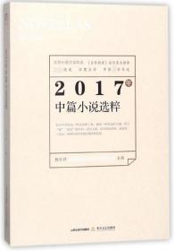 2017年中篇小说选粹