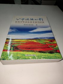 心中流淌的歌:昆明市导游优秀导游词续集