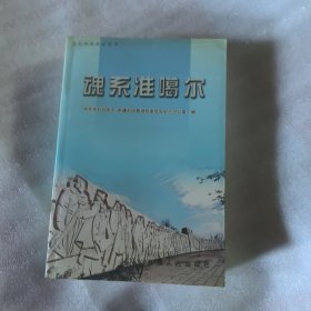 克拉玛依史志丛书：魂系准噶尔