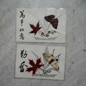 蝴蝶标本书签 2个