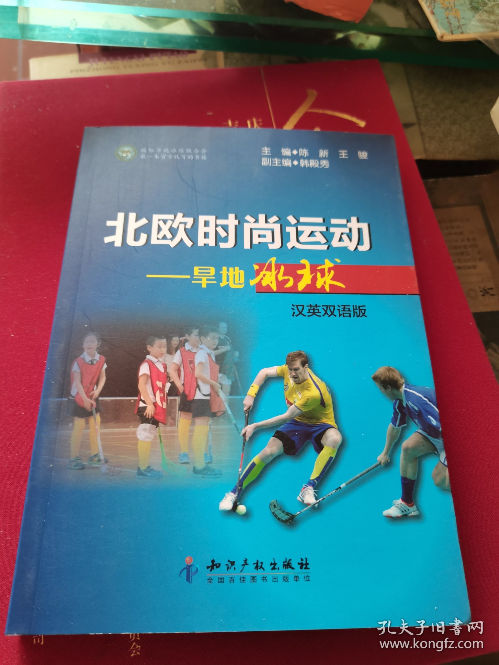 北欧时尚运动—早地冰球