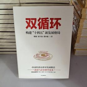 双循环构建十四五新发展格局双循环与我们的关系樊纲作品国家高端智库出品政府和企业推荐读本