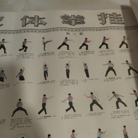 中华武术经典套路挂画《形意连环刀》，另送两套拳术图解，三套Jun体拳挂图