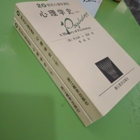 心理学史 上下 20世纪心理通览