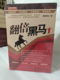 翻倍黑马 1 2 3三本合售