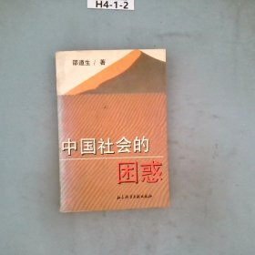 中国社会的困惑