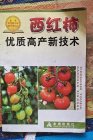 西红柿优质高产