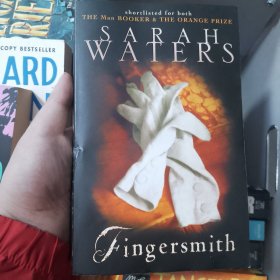 Sarah Waters Fingersmith 荆棘之城