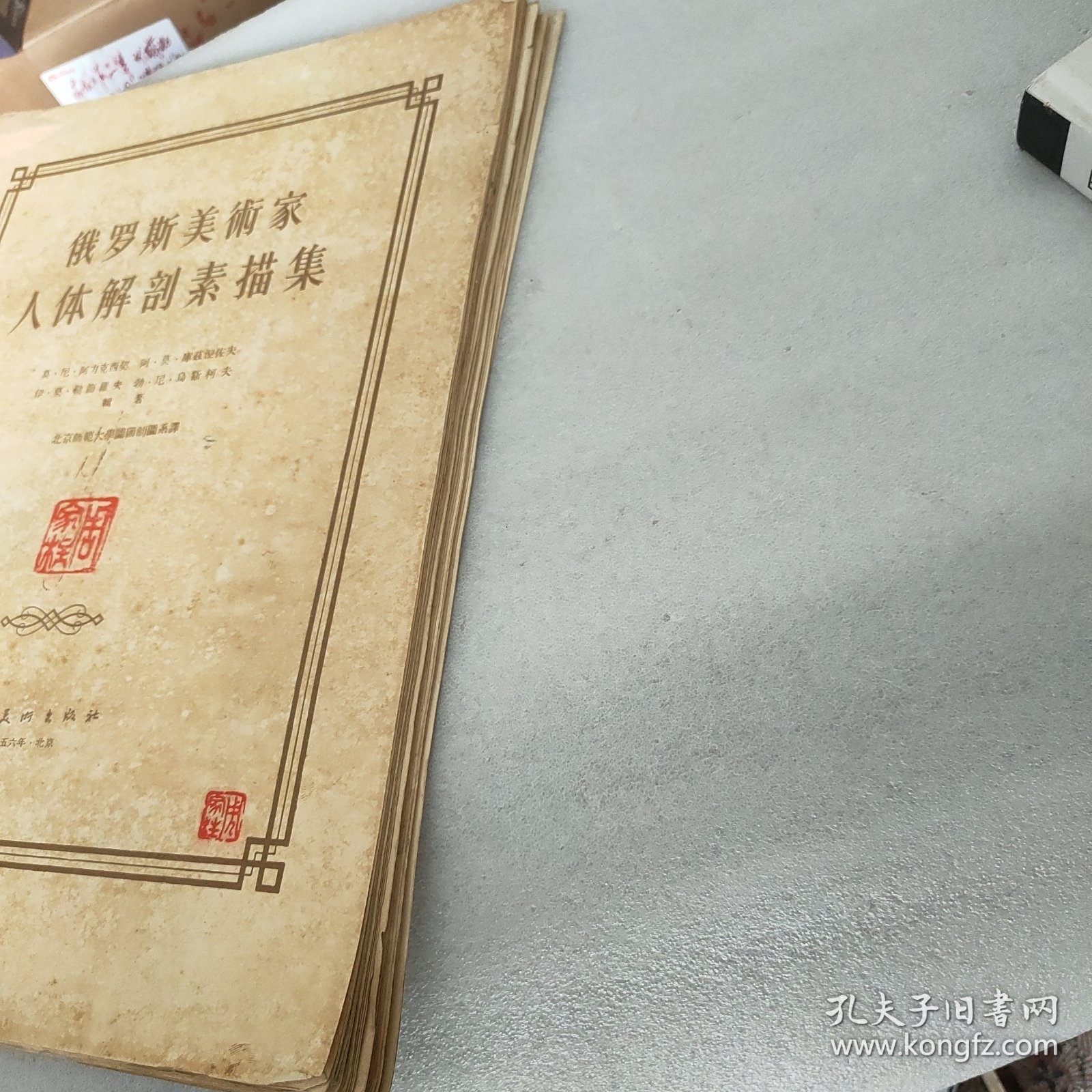 《俄罗斯美术家人体解剖素描集》8开（散页装47页全,1956.7月1版1印,）