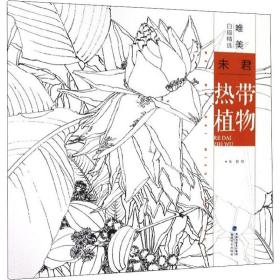 唯美白描精选 未君 热带植物 美术技法 作者 新华正版