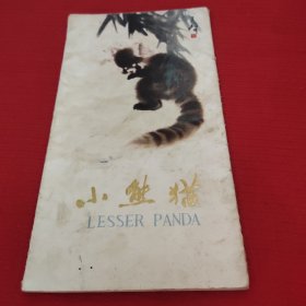 小熊猫图片，10张全。