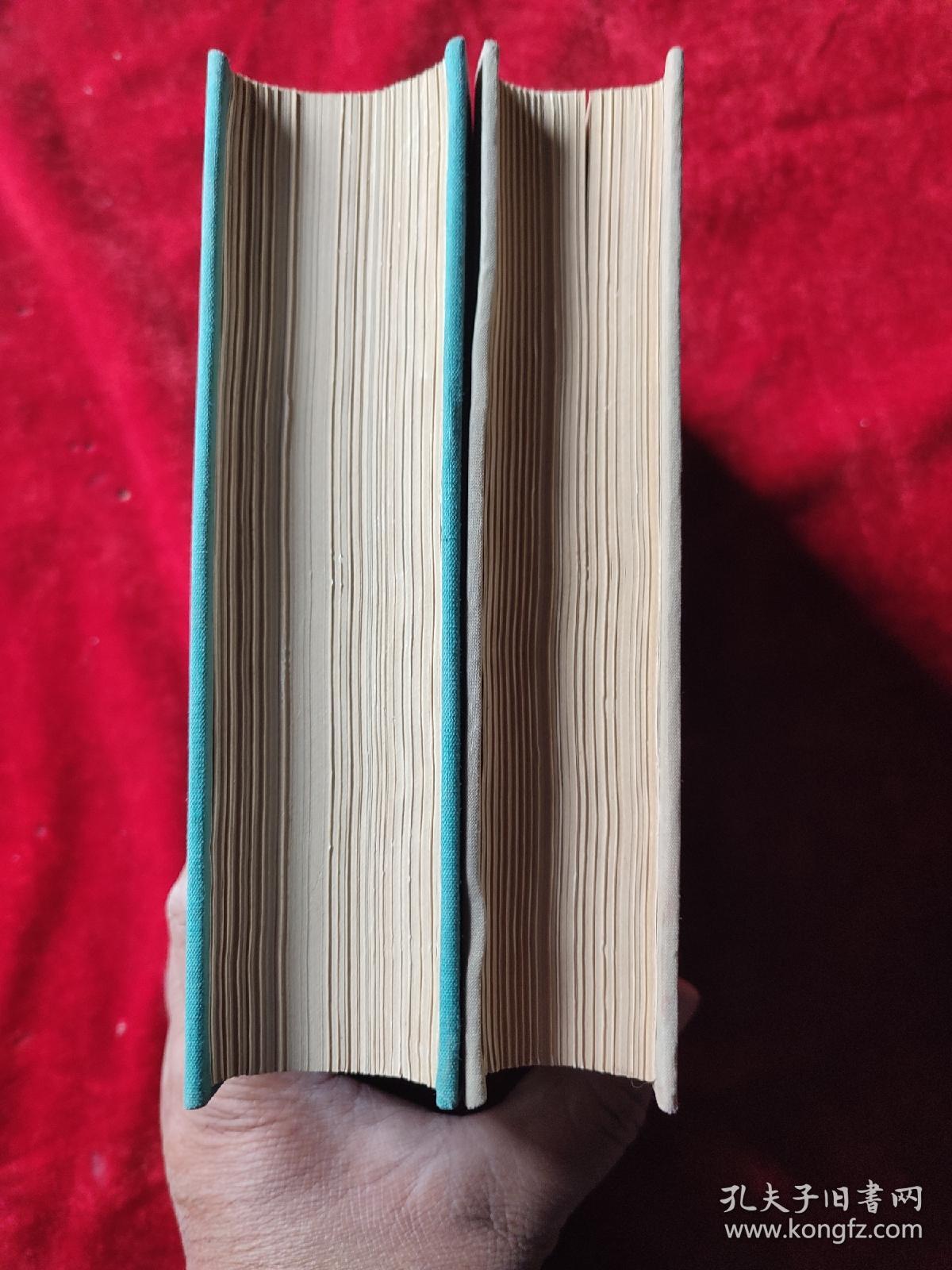 洪水（全二册）（上海书店影印民国时期的期刊）（32开，精装本）