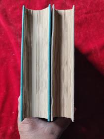 洪水(全二册)(上海书店影印民国时期的期刊)(32开,精装本)