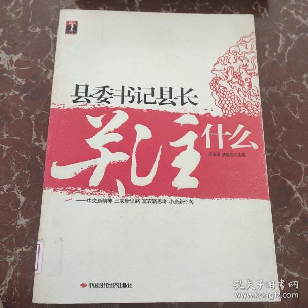 县委书记县长关注什么:中央新精神 三农新思路 富民新思考 小康新任务  馆藏  无笔迹