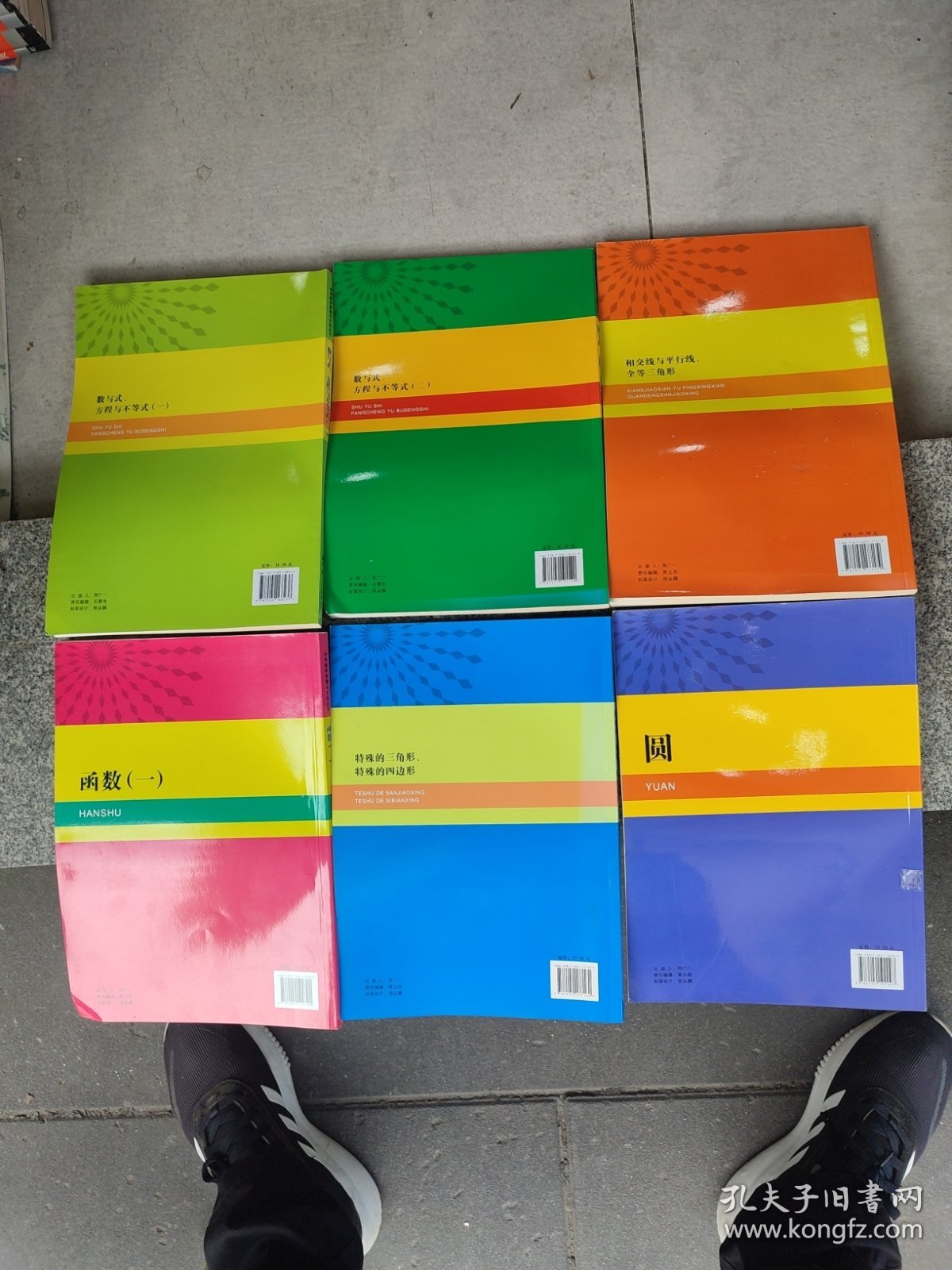 中学数学原理与方法丛书：相交线与平行线全等三角形、圆、特殊的三角形特殊的四边形、函数(一二)、数与式方程与不等式(一)(6本合售)