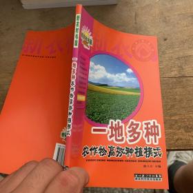 一地多种农作物高效种植模式