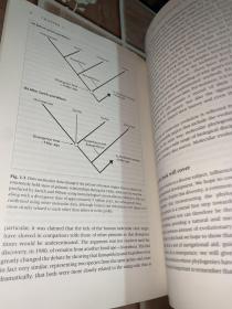 Molecular Evolution A Phylogenetic Approach