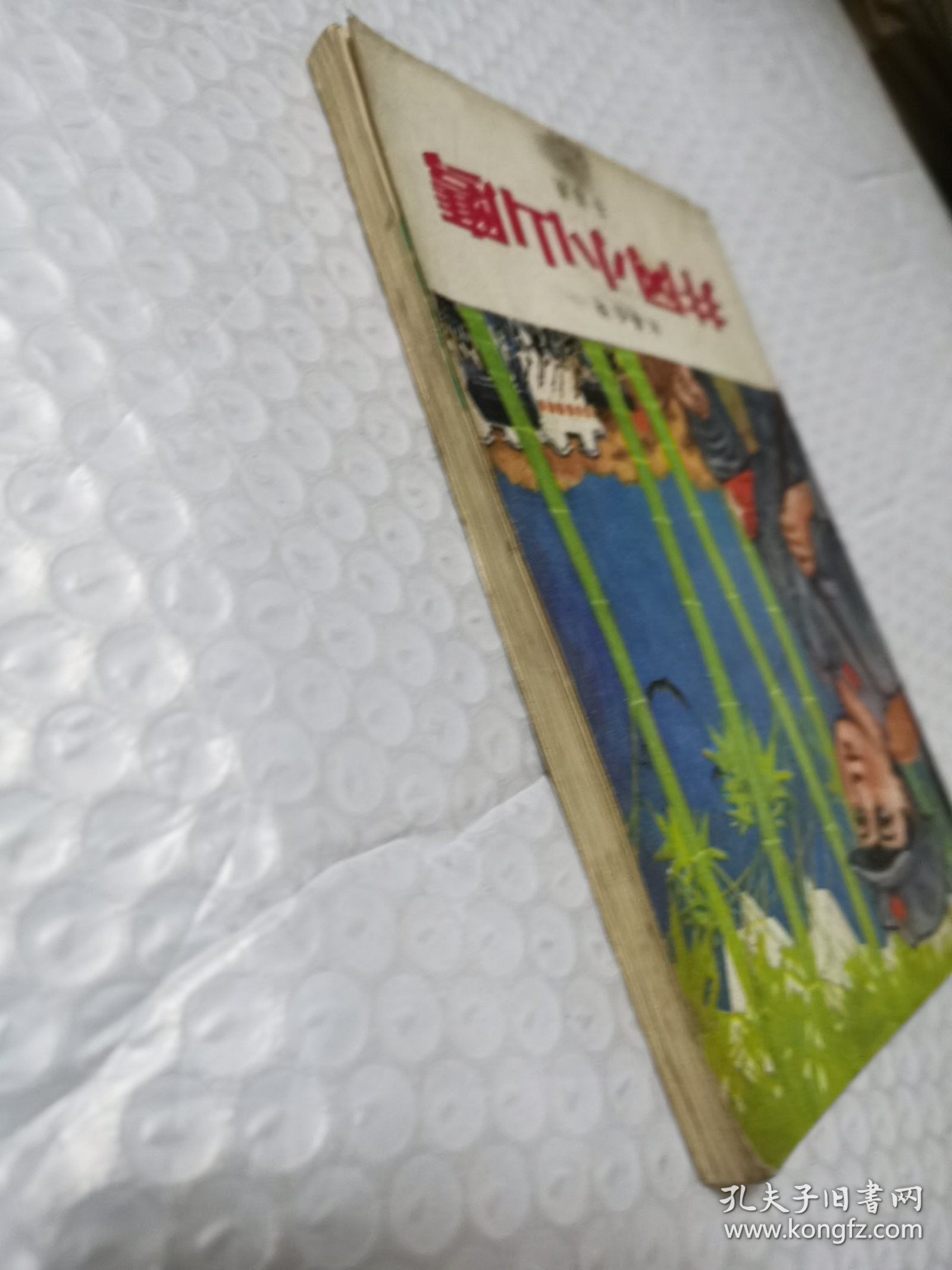 井冈小山鹰（叙事长诗）