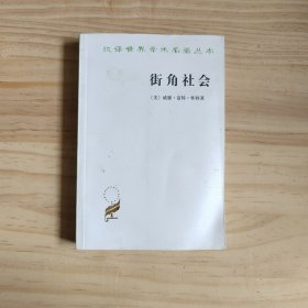 街角社会：一个意大利人贫民区的社会结构