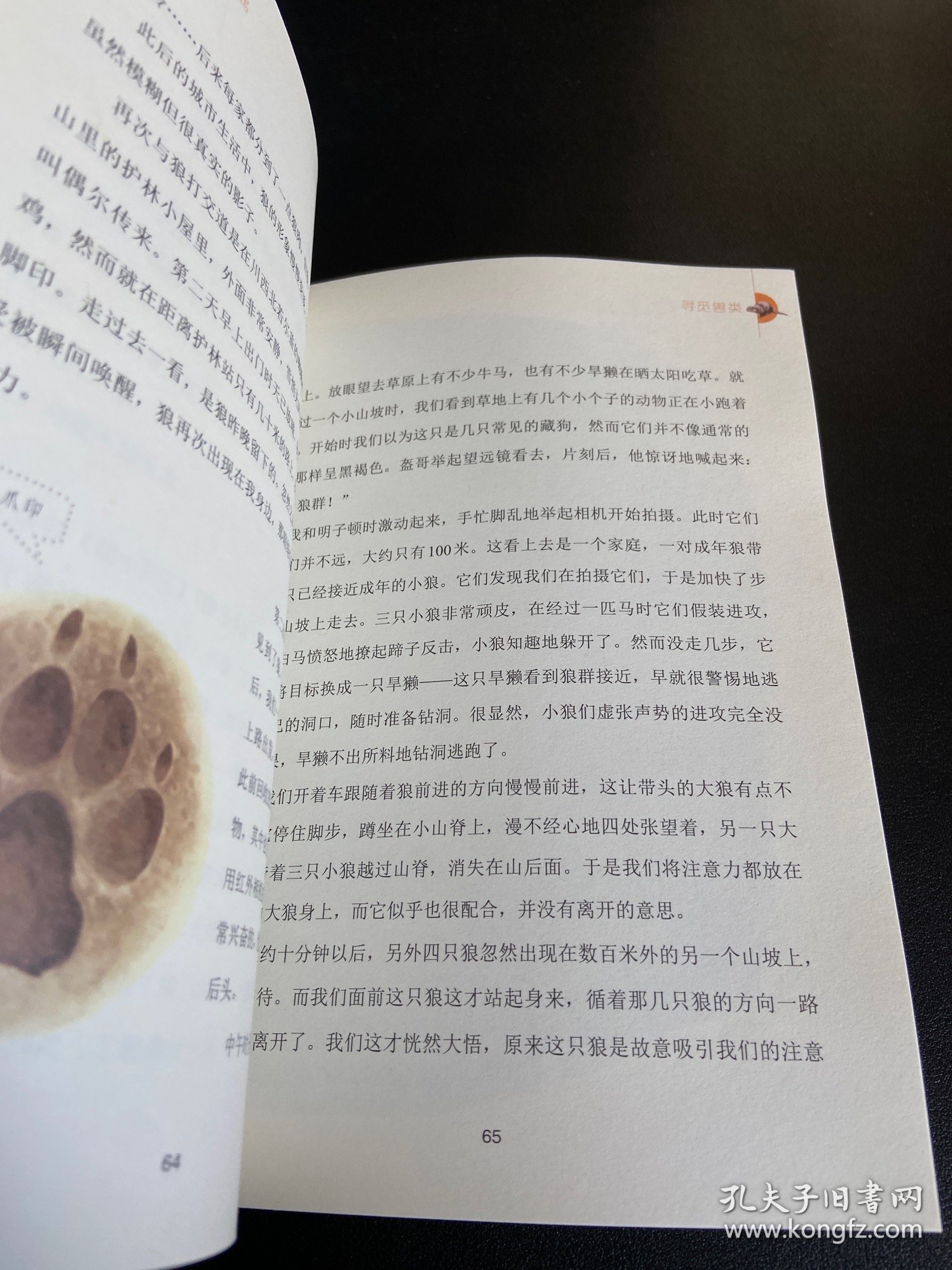 寻觅兽类/我与大自然的奇妙相遇