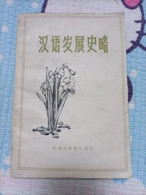 汉语发展史略
