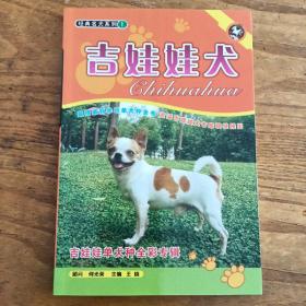 经典名犬系列1吉娃娃犬