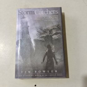 Storm Catchers 精装 294