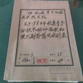 关于1982年秋复记予分秋冬播种面积和整队财务情况统计表。