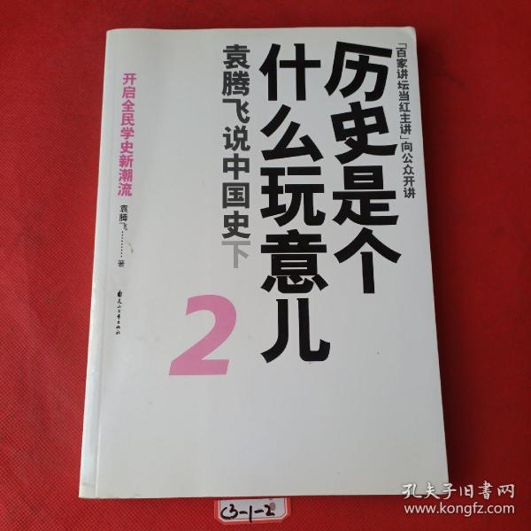 历史是个什么玩意儿2：袁腾飞说中国史下