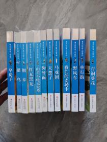 曹文轩纯美小说系列：野风车、单行街、青铜葵花、草房子、我们的麦场主、马戏团、天黑了、山羊不吃天堂草、红瓦黑瓦、根鸟、细米、狗牙雨  12本合售