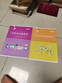 注意力训练教案【感统训练手册】，注意力训练教案指导手册，2本合售