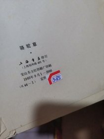 骆驼草，周刊