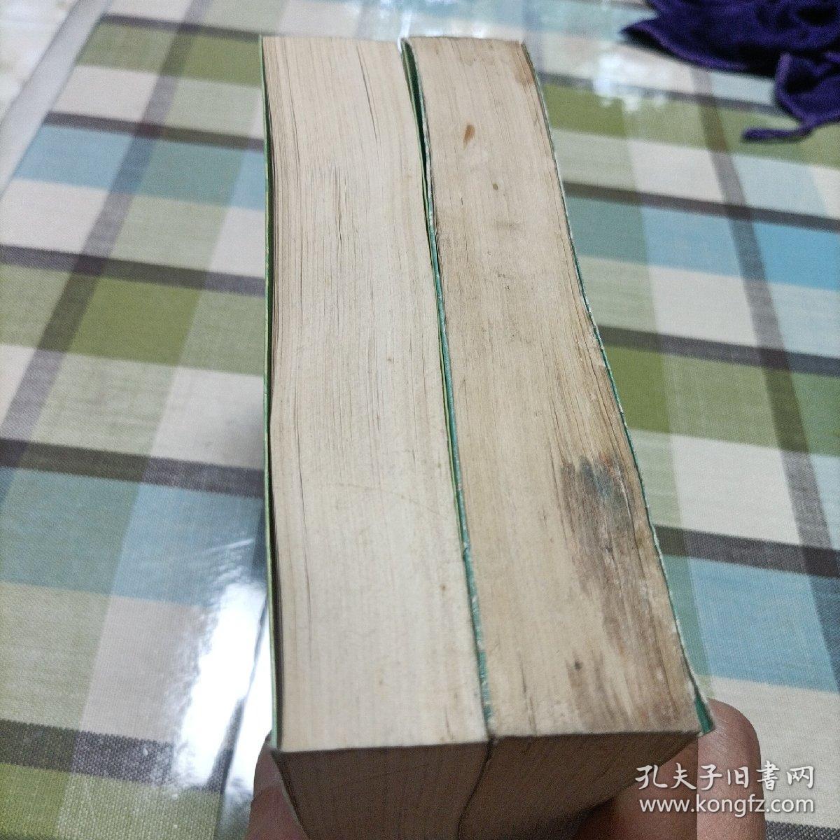 中国文学家辞典《现代，第一，六分册》