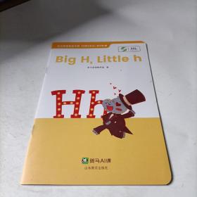 斑马AI课：big  h  little  h