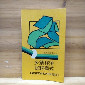 鄉(xiāng)鎮(zhèn)經(jīng)濟比較模式 現(xiàn)代化探索叢書