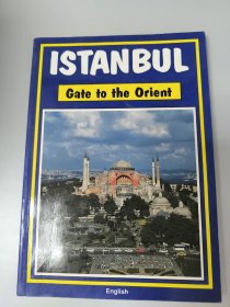 ISTANBUL Gate to the Orient