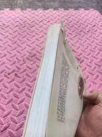 吸血鬼猎人D.6，D-圣魔遍历