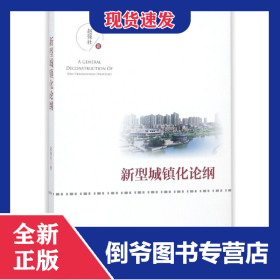 新型城镇化论纲