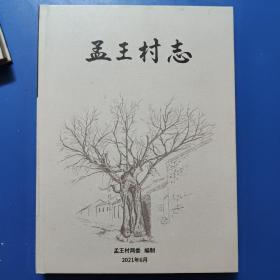 孟王村志 （济南槐荫区）