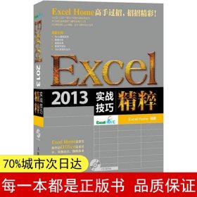 Excel 2013实战技巧精粹