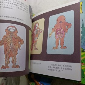 贝贝熊系列丛书:（15册合售）