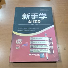 新手学会计实务/大众创业系列丛书