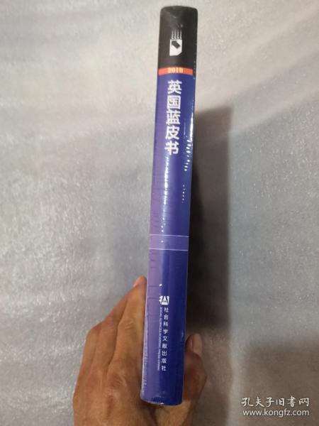 英国发展报告