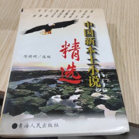 中国新本土小说精选