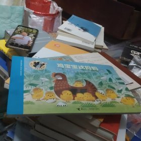 鸡宝宝找妈妈(小16开130)