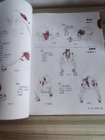 推拿按摩的解剖学基础（第4版）